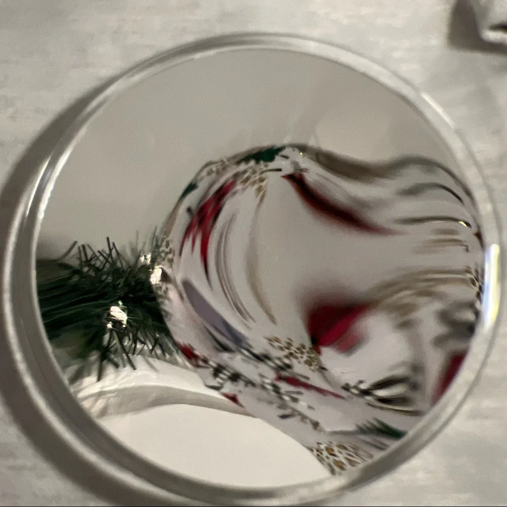 Magnifying Mirror with 3 Suction Cups 9 Inch (10X Magnification)